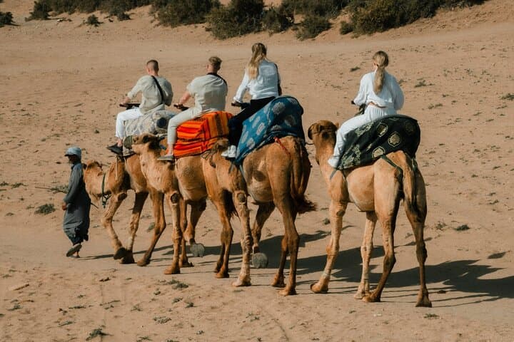 Sandboarding Timlalin Dunes: Taghazout & Agadir Desert Surfing Adventure photo 6