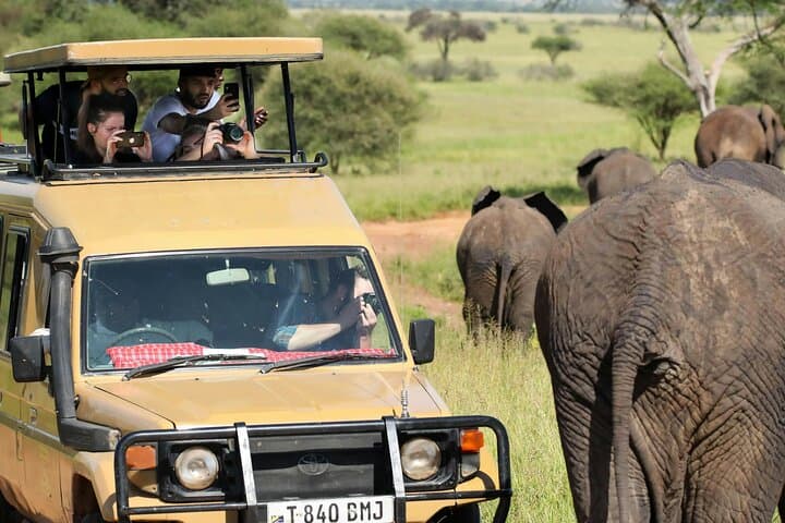 Descending Ngorongoro: A One-Day Shared Safari into Tanzania's Living Caldera photo 1