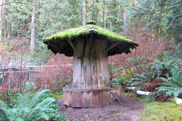 Love the Land: Indigenous Walking Tour at Capilano River Hatchery photo 3
