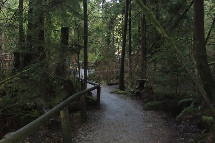 Love the Land: Indigenous Walking Tour at Capilano River Hatchery photo 4