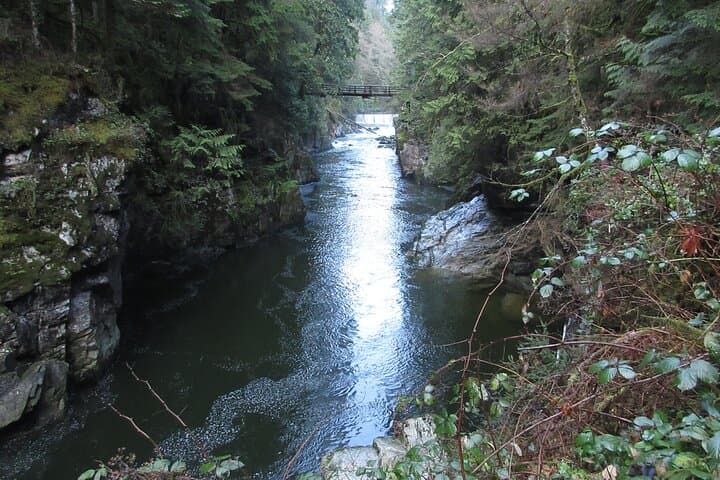 Love the Land: Indigenous Walking Tour at Capilano River Hatchery photo 5