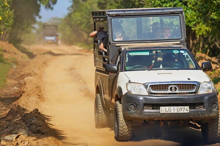 Yala 4-Hour Jeep Safari: Leopard, Elephant & Birding Wildlife Experience photo 3