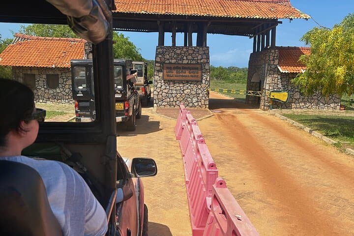 Yala 4-Hour Jeep Safari: Leopard, Elephant & Birding Wildlife Experience photo 2