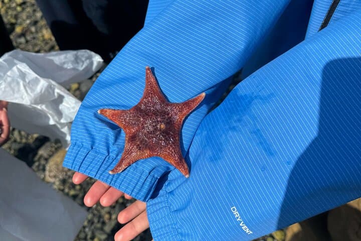 Salish Sea and Me: Stanley Park Indigenous Walking Tour — Coast Salish Ocean Stories photo 4