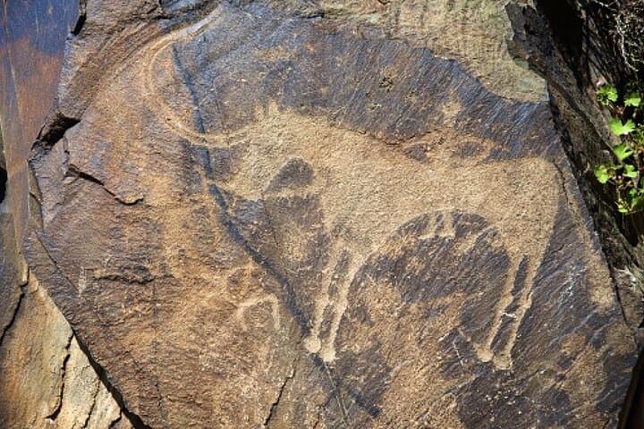 Day Trip to Tanbaly and Tamgaly Tas: Bronze Age Petroglyphs & River Cliffs near Almaty photo 5