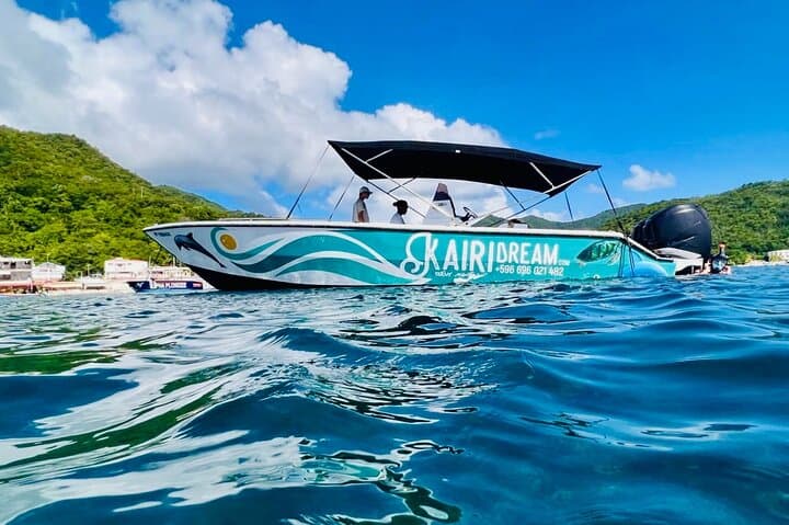 Full-Day Speed Boat to Dolphins, Turtles & Southern Coves — Martinique