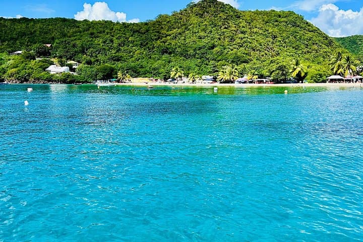 Dolphin Watching & Snorkeling in Martinique — AGOA Marine Morning Cruise photo 3