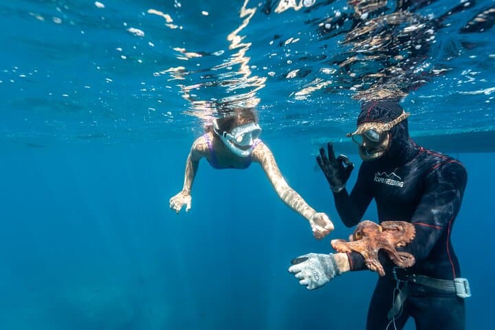 Snorkel Ieranto Bay: Exclusive Marine Reserve Adventure off the Amalfi Coast photo 2