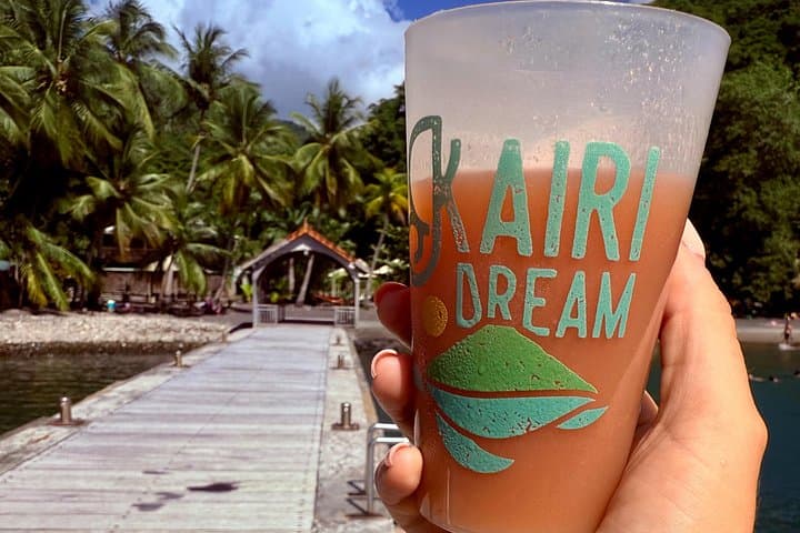 Dolphin Watching & Snorkeling in Martinique — AGOA Marine Morning Cruise photo 4