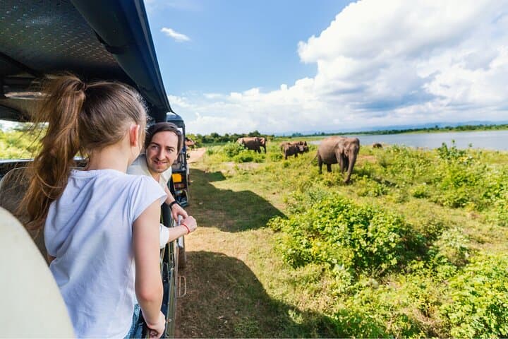 Private Udawalawe Elephant Safari: 3-Hour Jeep Adventure & Elephant Transit Home photo 1