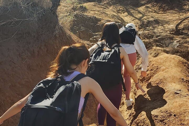 Lanikai Pillbox Hike and Beach Excursion: A Perfect Half-Day Adventure in Kailua, Hawaii photo 3