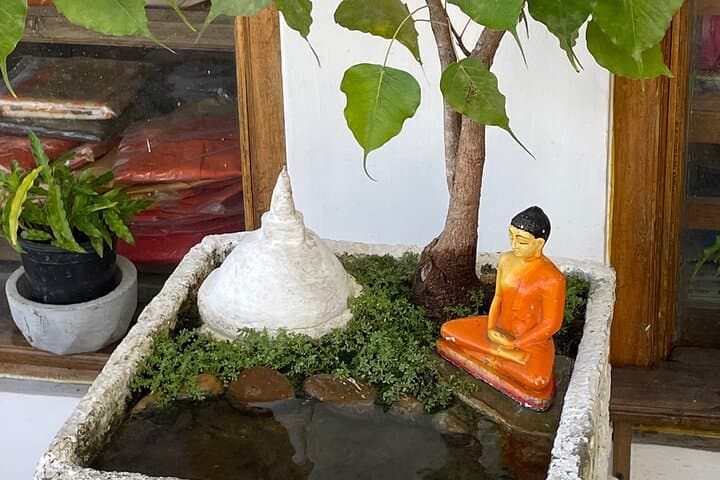 Kandy City with a Local: Temple of the Tooth, Tea Museum & Royal Botanical Gardens