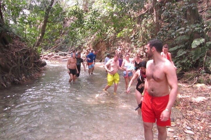 Mayfield Falls River Walk — Private Tour from Montego Bay photo 6