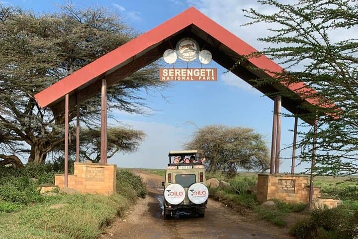 5-Day Private Safari: Tarangire, Serengeti & Ngorongoro from Arusha photo 1