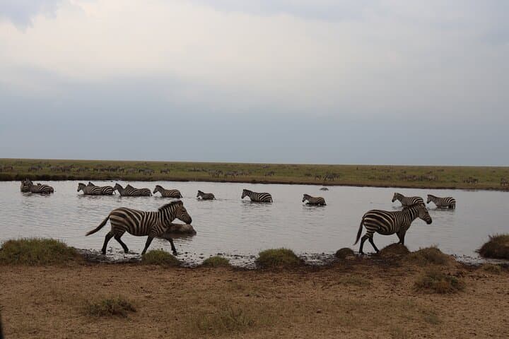 5-Day Private Safari: Tarangire, Serengeti & Ngorongoro from Arusha photo 2