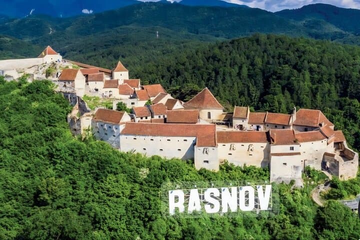 Private Day Tour from Bucharest: Libearty Brown Bears & Râșnov Fortress photo 5