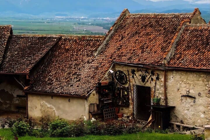 Private Day Tour from Bucharest: Libearty Brown Bears & Râșnov Fortress photo 6