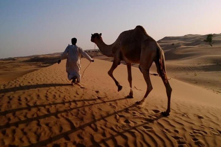 Red Dune Safari Dubai: Evening 4x4 Adventure, Camel Ride & BBQ Under the Stars photo 6