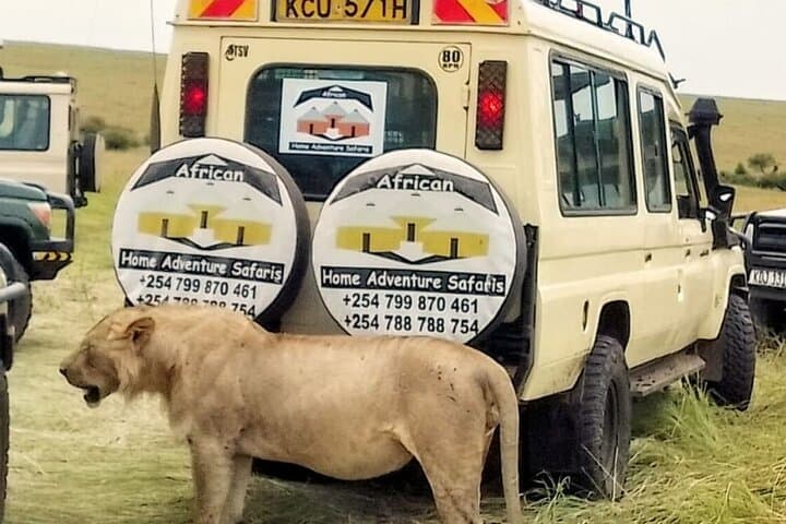 3-Day Maasai Mara Safari: Big Five Game Drives & Tent Camping