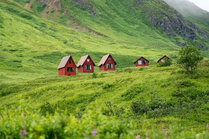 Hatcher Pass Reindeer Adventure from Anchorage — Feed Reindeer & Alpine Views photo 3