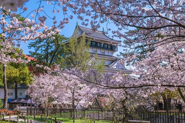 Moji Port to Miyajitake Shrine: Kitakyushu & Shimonoseki Day Tour photo 2
