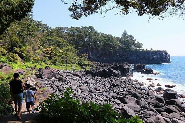 Izu MOA Art, Mishima Skywalk & Shuzenji Onsen: 2-Day Izu Peninsula Escape photo 4