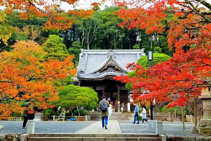 Izu MOA Art, Mishima Skywalk & Shuzenji Onsen: 2-Day Izu Peninsula Escape photo 1