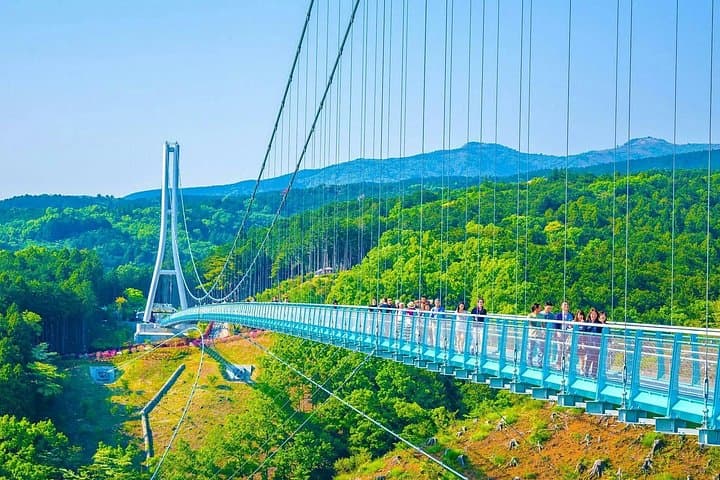 Izu MOA Art, Mishima Skywalk & Shuzenji Onsen: 2-Day Izu Peninsula Escape photo 2