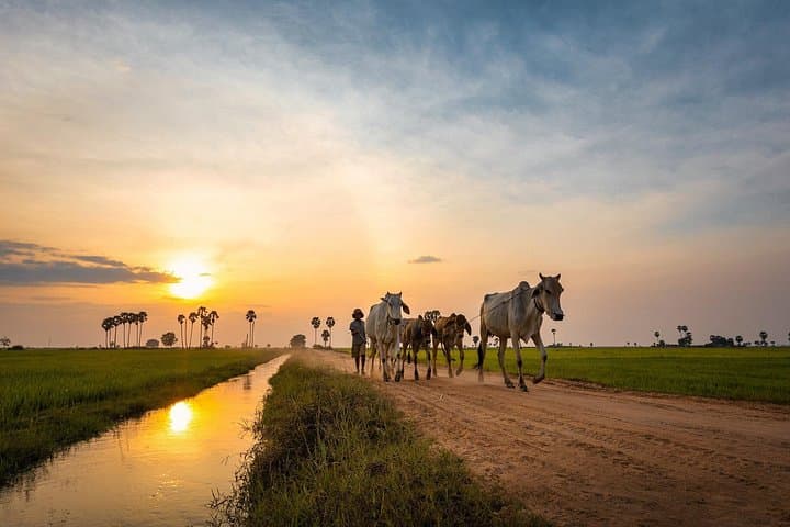 Phnom Kulen Waterfall & River of 1,000 Lingas: Full-Day Minivan Tour from Siem Reap photo 2