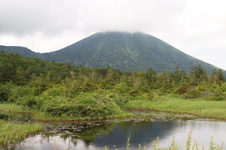 Oirase Stream & Lake Towada: Full-Day Nature Tour from Aomori photo 2