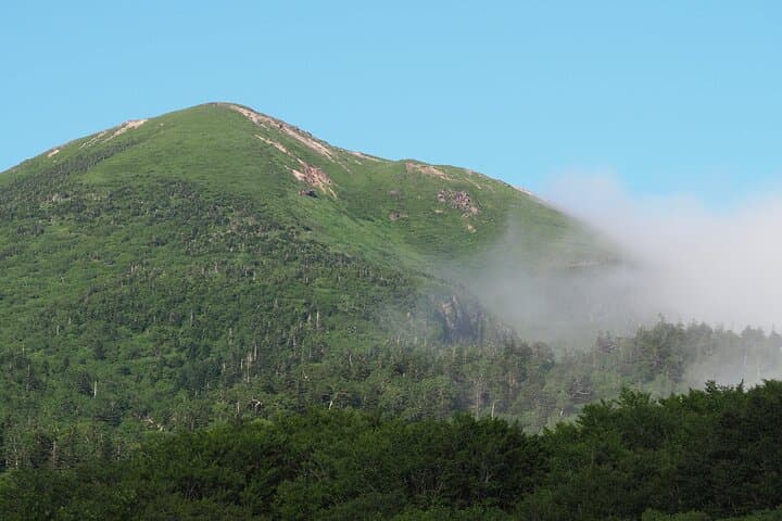 Oirase Stream & Lake Towada: Full-Day Nature Tour from Aomori photo 5