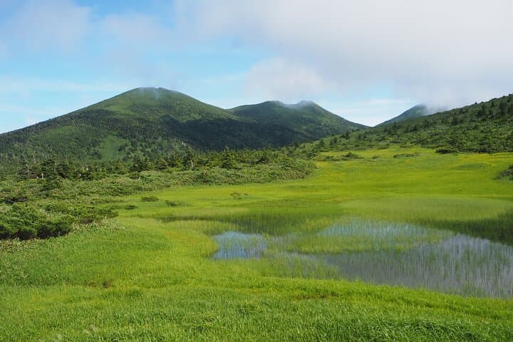 Oirase Stream & Lake Towada: Full-Day Nature Tour from Aomori photo 6