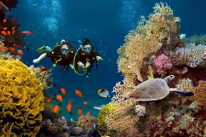 PADI Open Water Diver Course in Marsa Alam - 3-Day Red Sea Certification photo 3
