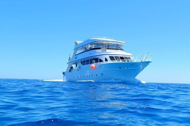 Marsa Mubarak Full-Day Red Sea Snorkel and Two Intro Dives from Marsa Alam photo 4