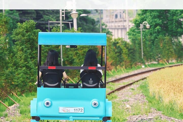 Nami Island to Garden of Morning Calm: One-Day Alpaca & Petite France Countryside Tour from Seoul photo 3
