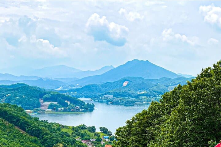 Nami Island to Garden of Morning Calm: One-Day Alpaca & Petite France Countryside Tour from Seoul photo 6