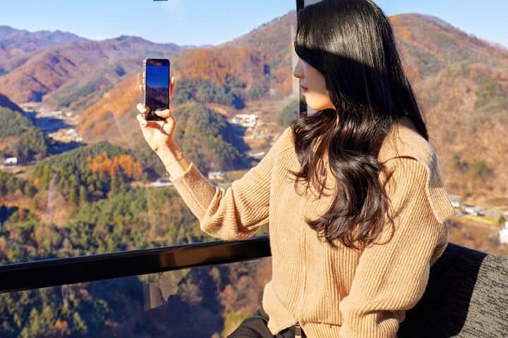 Nami Island to Garden of Morning Calm: One-Day Alpaca & Petite France Countryside Tour from Seoul
