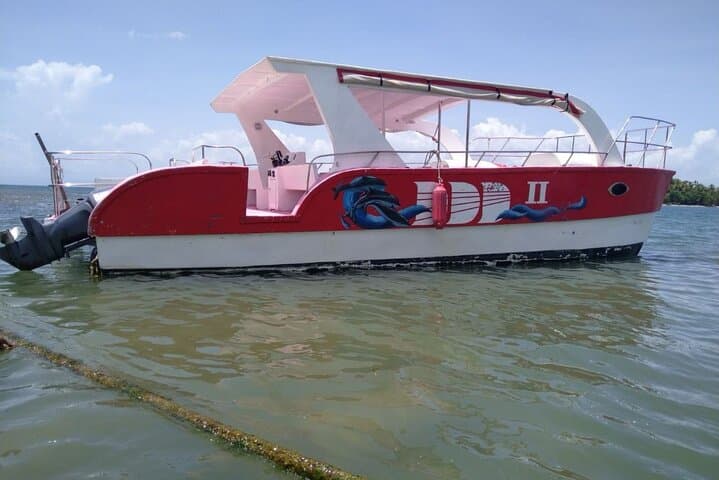 Samana Paradise Shared Tour: Day Trip to Cayo Levantado (Bacardi Island) with Lunch photo 3