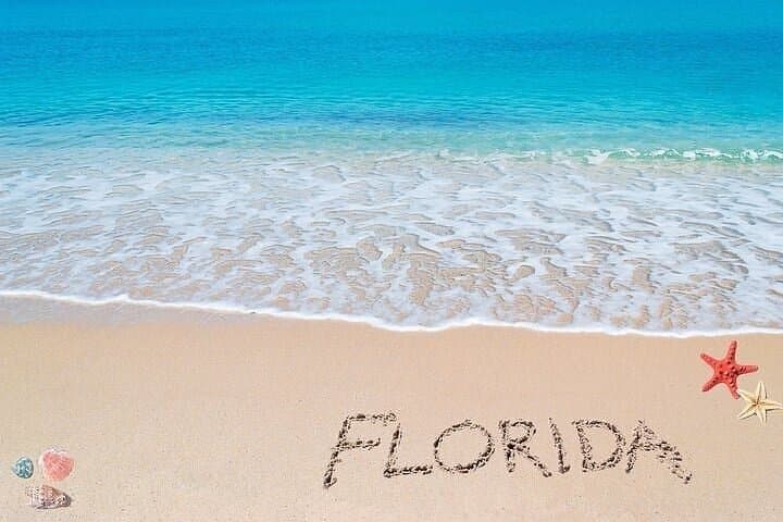 Sarasota Private Luxury Airport Transfer: Sedans & SUVs from SRQ photo 5