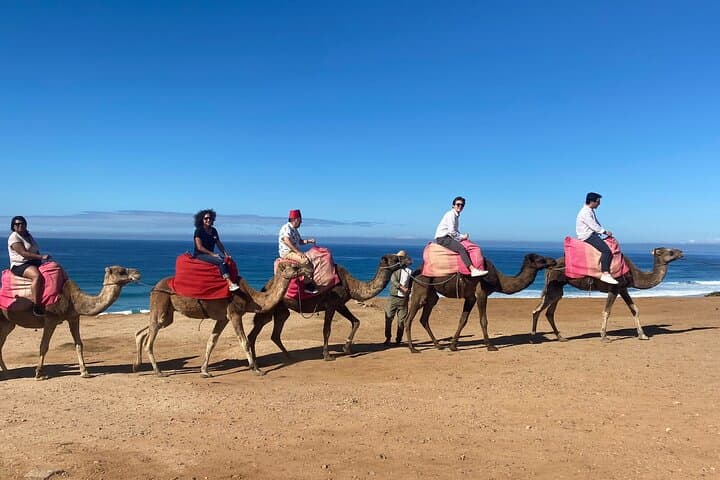 Tangier Day Trip from Cadiz: Ferry to Morocco with Guided Medina Walk & Lunch photo 3