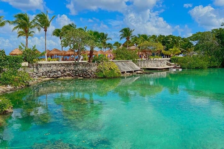 Chankanaab Park Cozumel: A Beginner-Friendly Snorkel and Beach Day in Cozumel