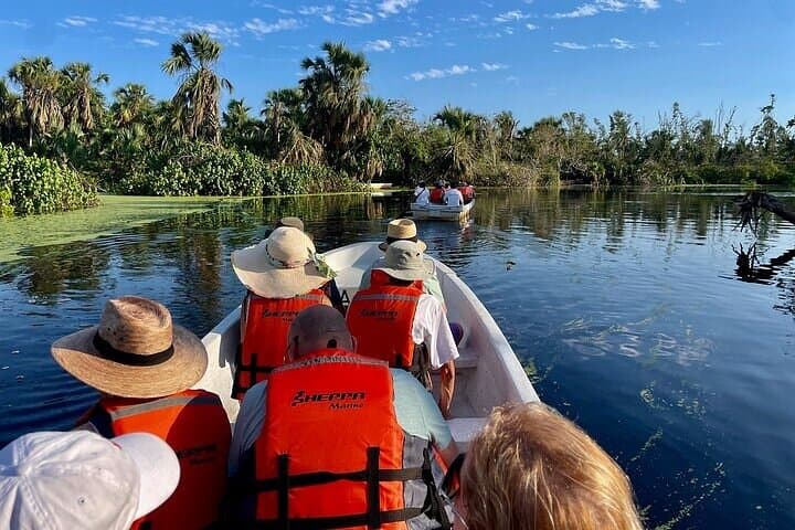 Ventanilla Crocodile & Turtle Ecological Tour — Mangrove Boat Ride and Turtle Release photo 2