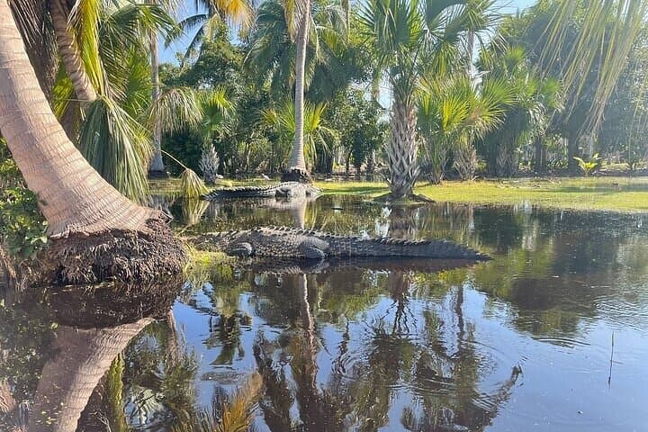 Ventanilla Crocodile & Turtle Ecological Tour — Mangrove Boat Ride and Turtle Release photo 3