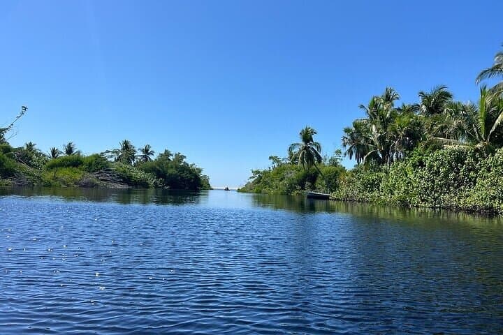 Ventanilla Crocodile & Turtle Ecological Tour — Mangrove Boat Ride and Turtle Release photo 5