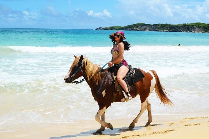 Explore Punta Cana: Jungle & Beach Horse Riding Adventure photo 2