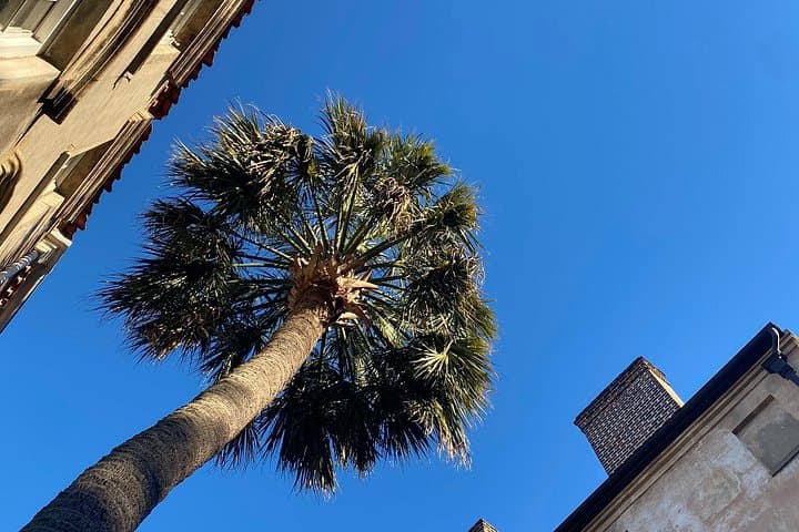 Jewish History Walking Tour of Charleston: Sephardic Legacy & Hidden Sites photo 2