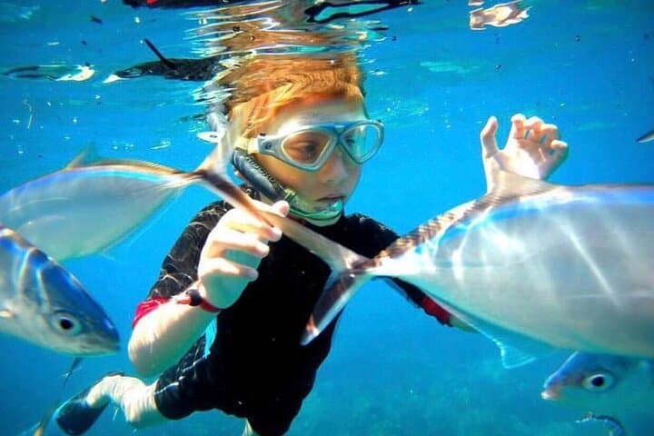 Saona Island Day Trip: Speedboat & Catamaran to the Natural Pool and Palm Beaches photo 6
