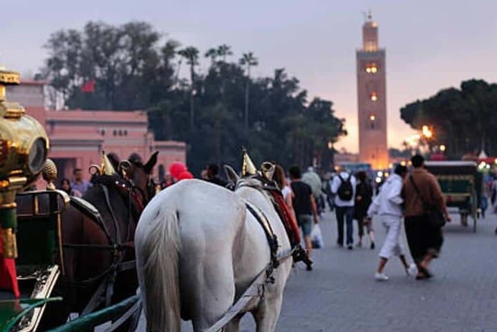 Marrakesh One-Hour Horse-Drawn Carriage Ride and Menara Garden Visit
