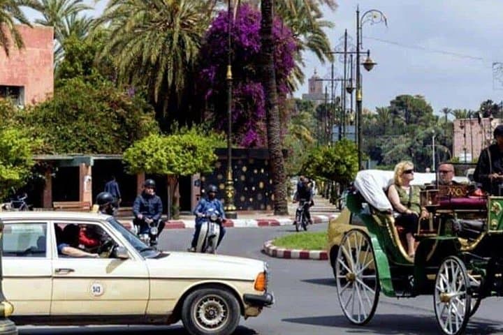 Marrakesh One-Hour Horse-Drawn Carriage Ride and Menara Garden Visit photo 2