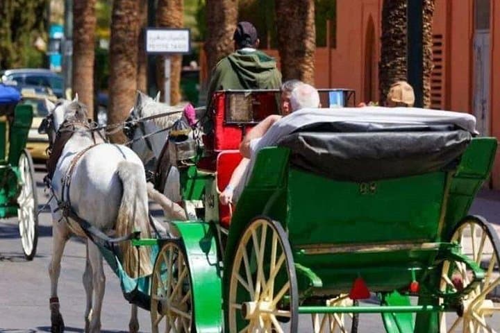Marrakesh One-Hour Horse-Drawn Carriage Ride and Menara Garden Visit photo 3